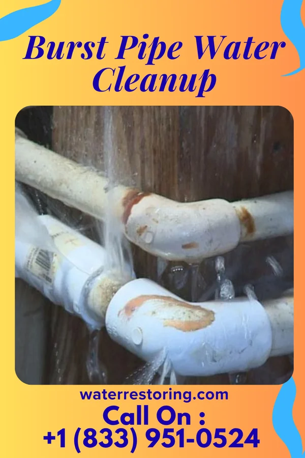 Burst Pipe Water Cleanup in Washington Court House, OH