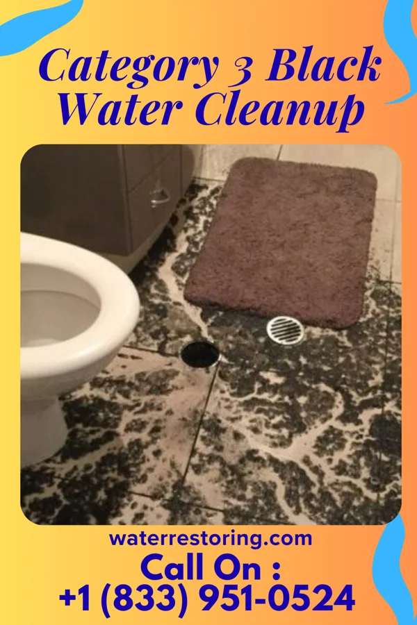 Category 3 Black Water Cleanup in Washington Court House, OH